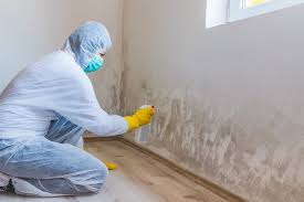 Why You Should Choose Our Mold Remediation Services in Mcleansboro, IL